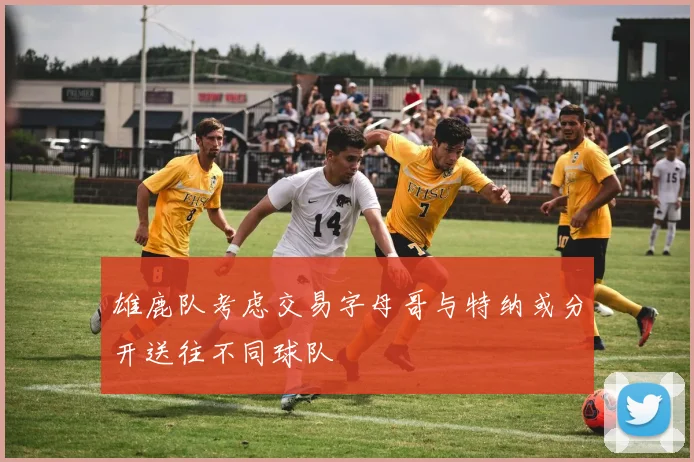雄鹿队考虑交易字母哥与特纳或分开送往不同球队